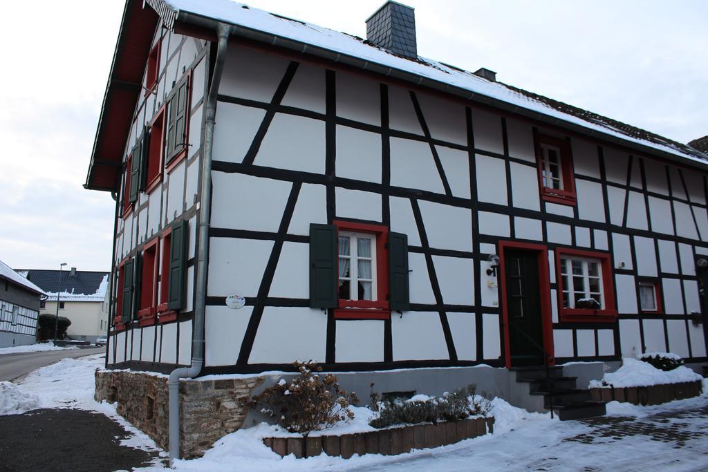 Ferienwohnung Duerbaum 施莱登 外观 照片