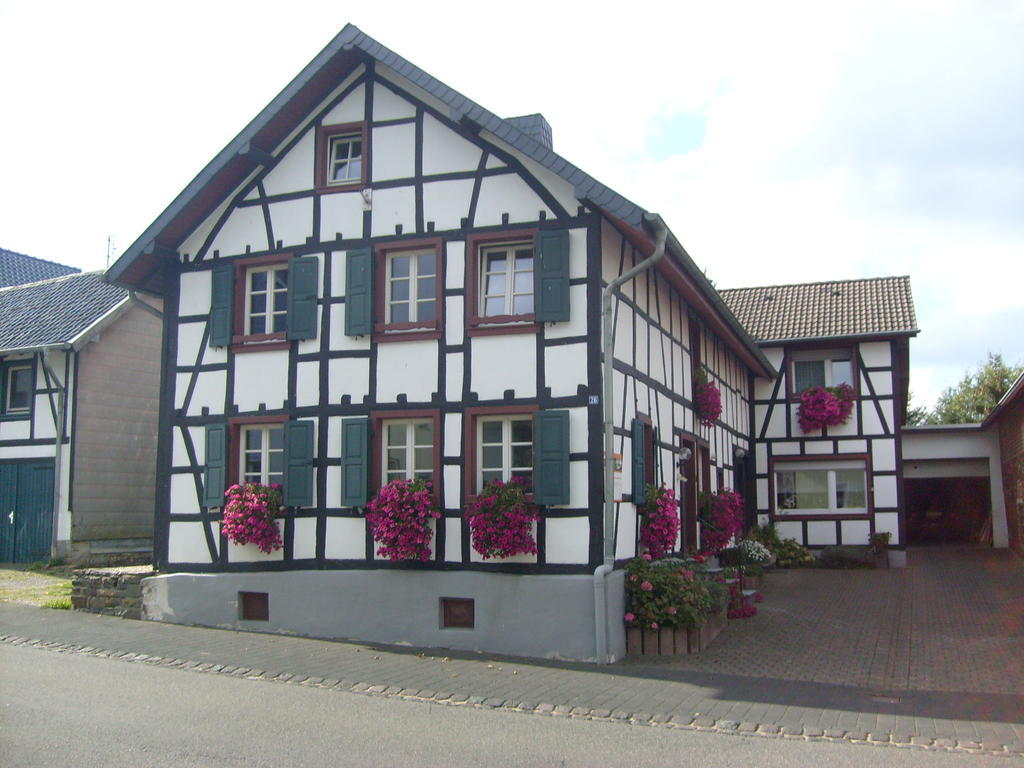 Ferienwohnung Duerbaum 施莱登 外观 照片