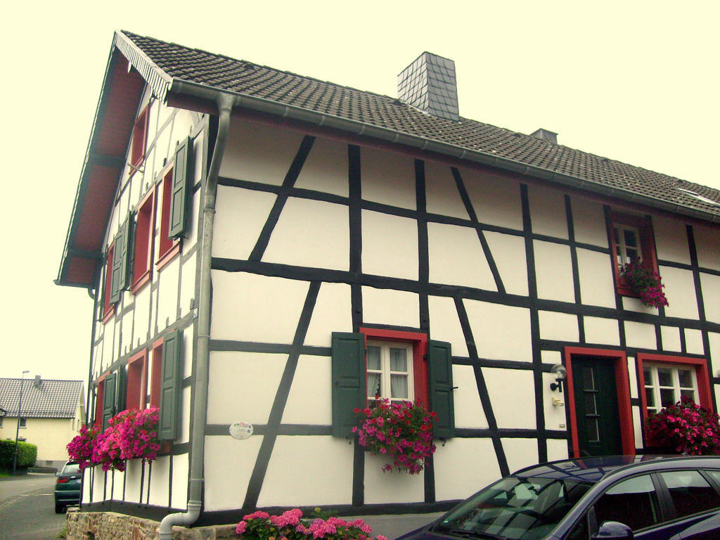 Ferienwohnung Duerbaum 施莱登 客房 照片